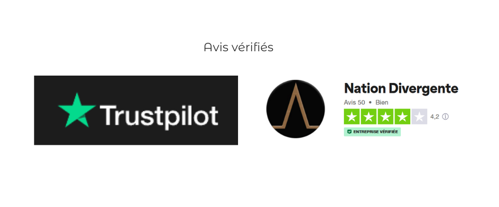 avis nation divergente